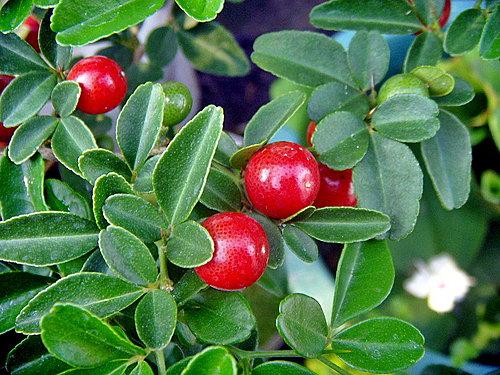 【洛陽(yáng)天恒】教您冬至風(fēng)水家居這樣布置 可以旺財(cái)開(kāi)運(yùn)哦！